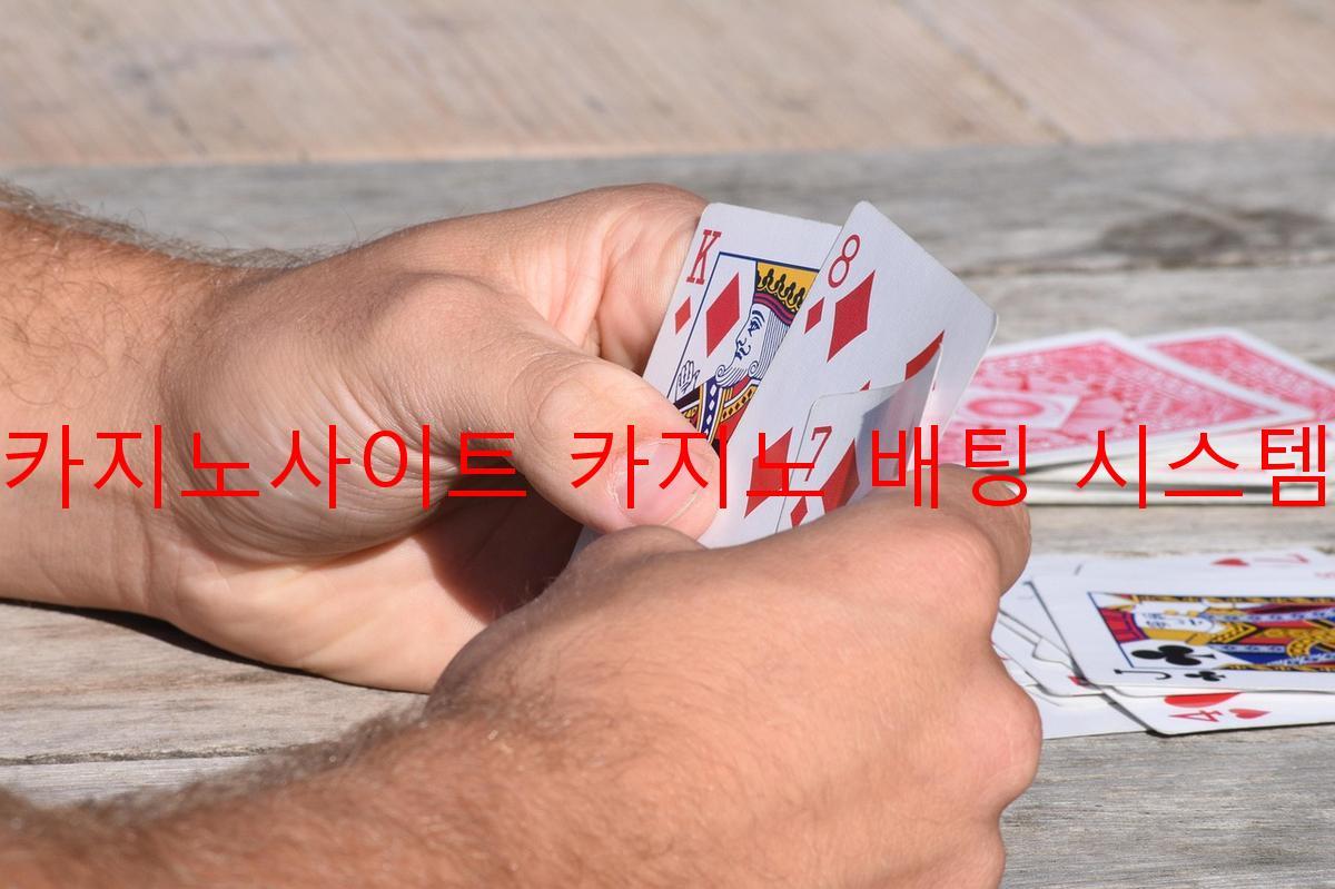 카지노사이트 카지노 배팅 시스템