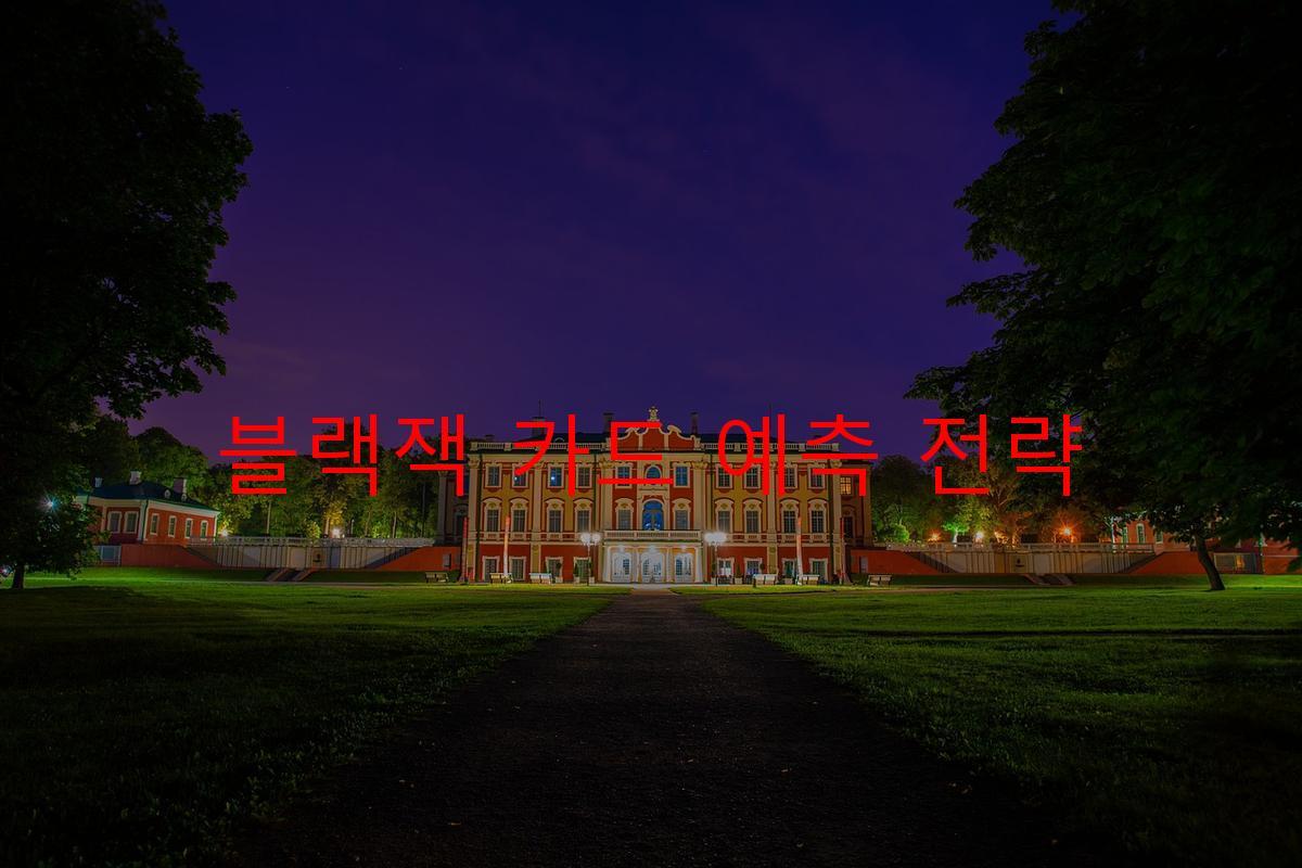 블랙잭 카드 예측 전략