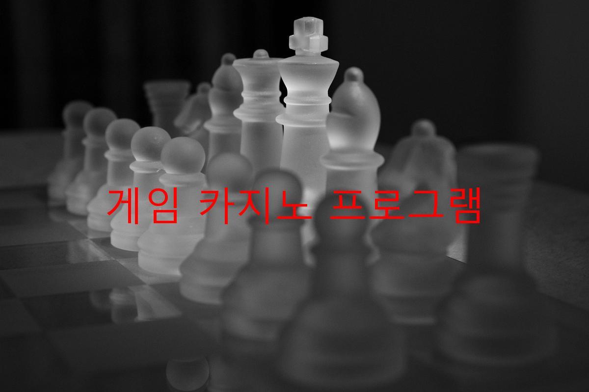 게임 카지노 프로그램