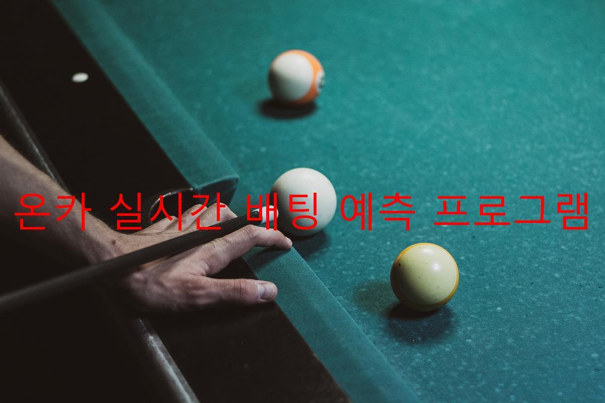 온카 실시간 배팅 예측 프로그램