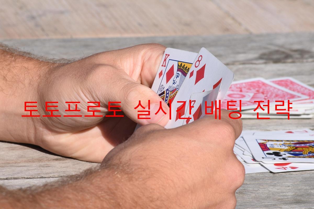 토토프로토 실시간 배팅 전략