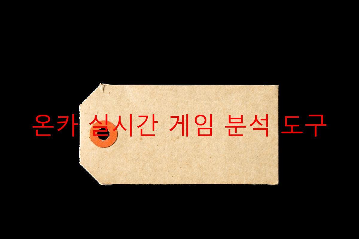 온카 실시간 게임 분석 도구