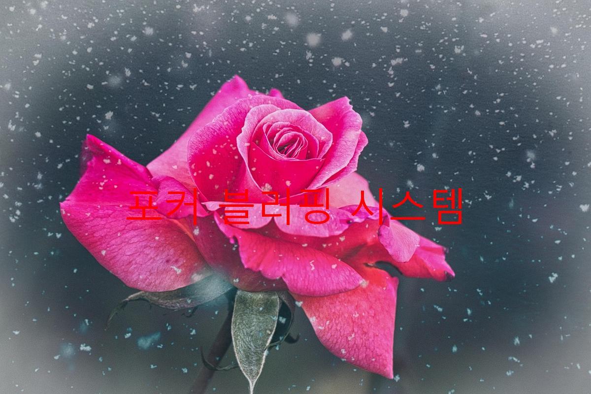 포커 블러핑 시스템