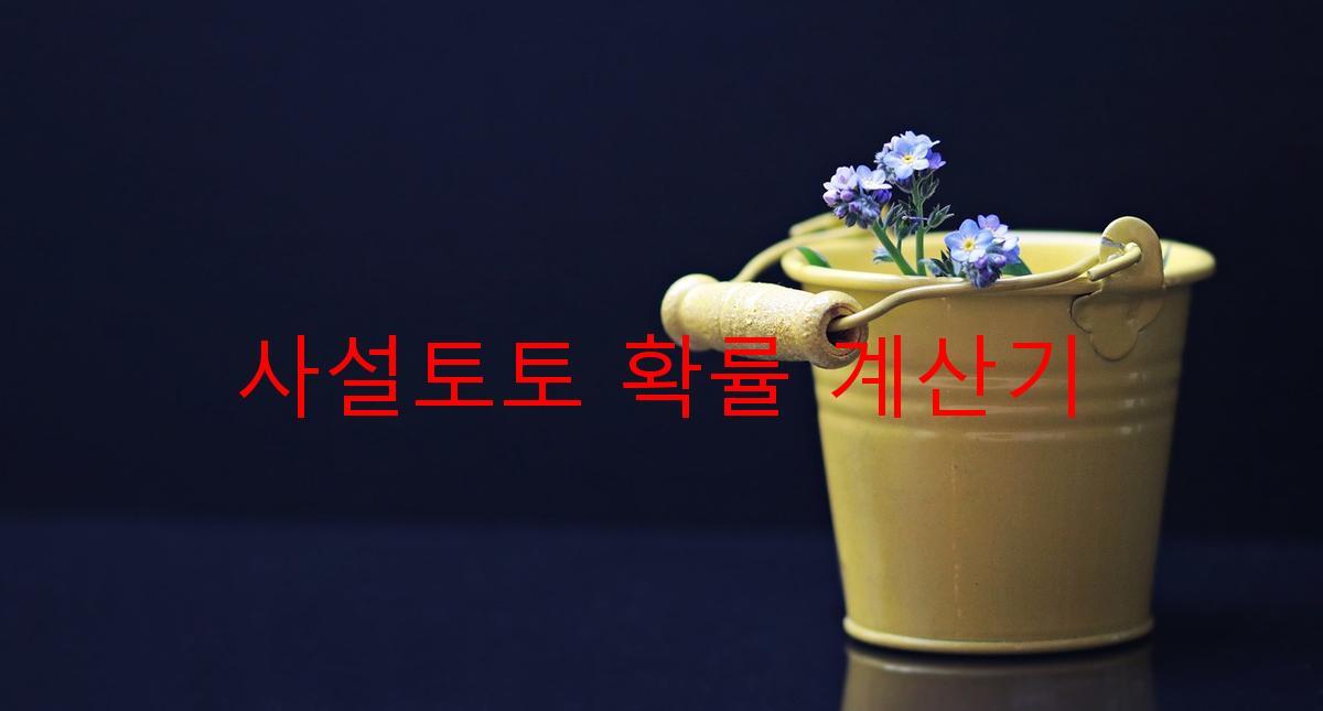 사설토토 확률 계산기