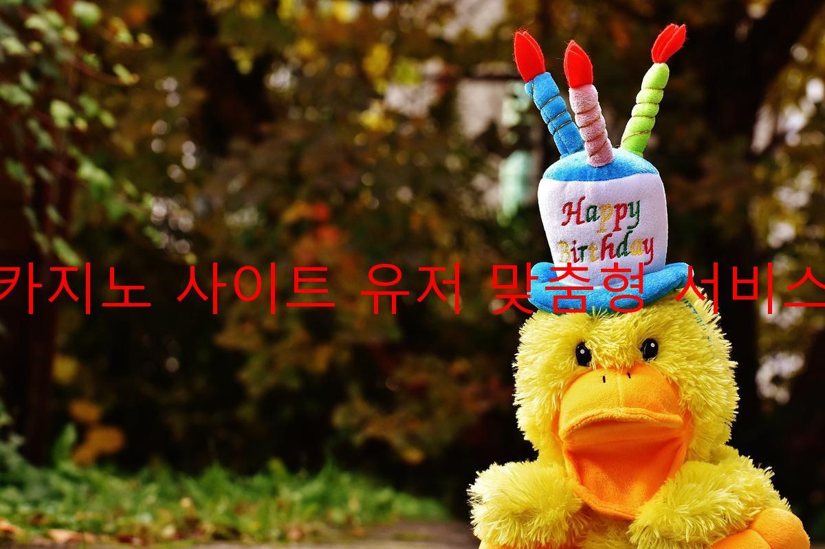 보증 카지노 사이트 유저 맞춤형 서비스 제공