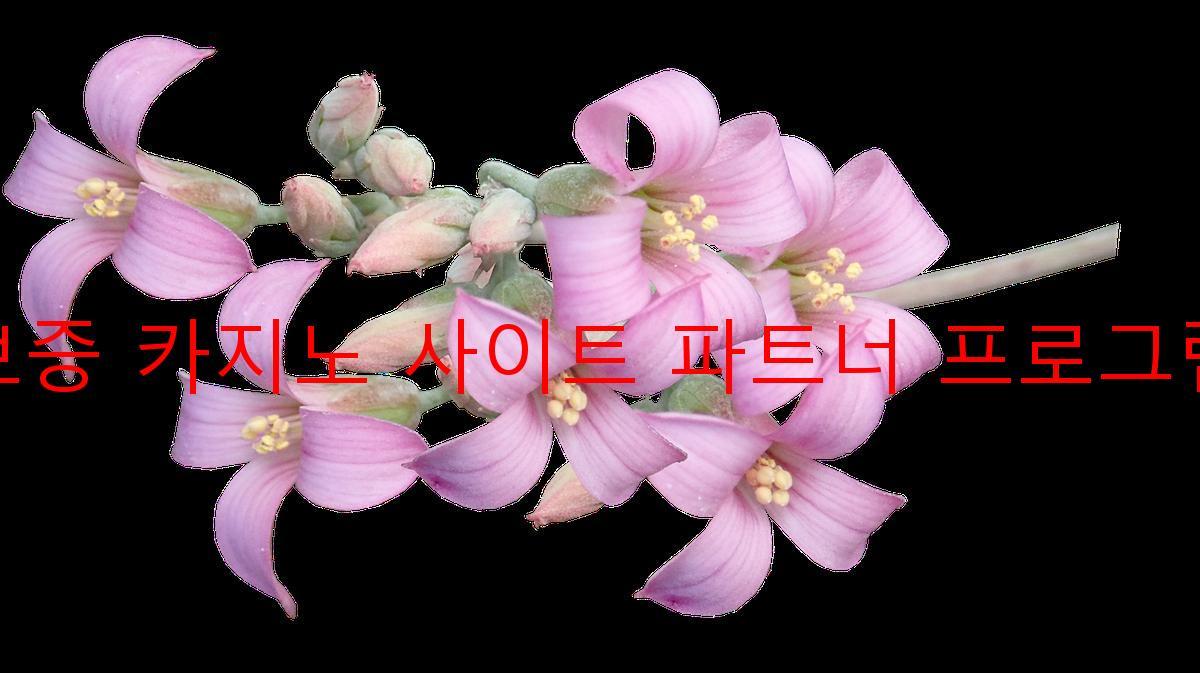 보증 카지노 사이트 파트너 프로그램