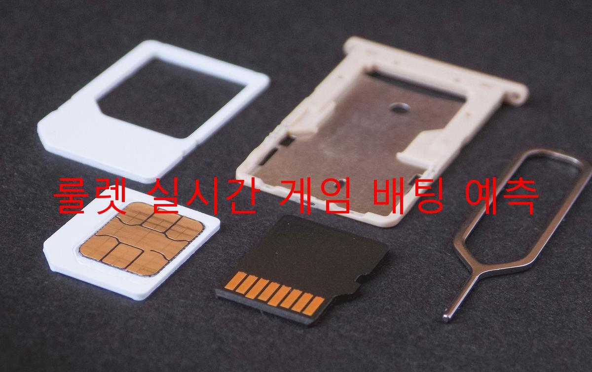 룰렛 실시간 게임 배팅 예측