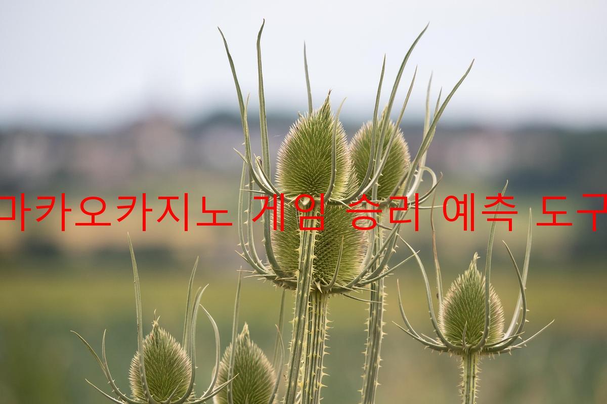 마카오카지노 게임 승리 예측 도구