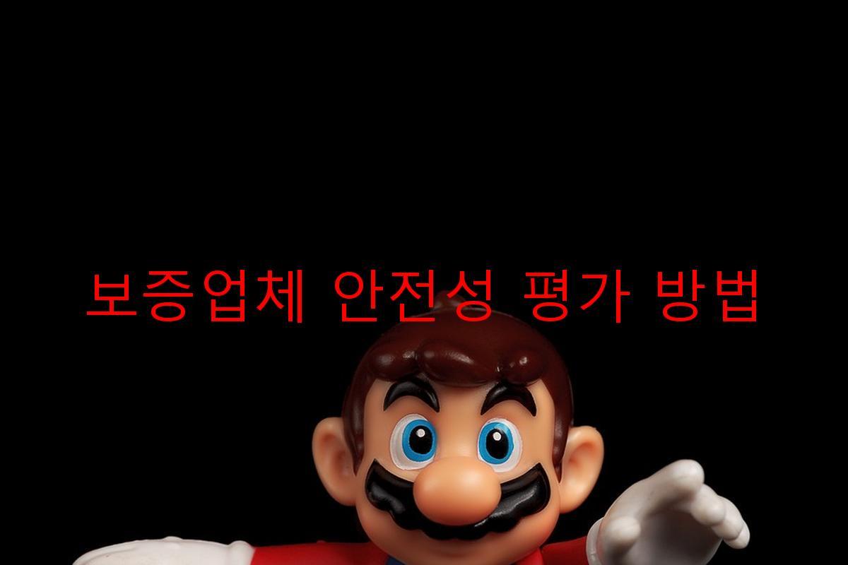 보증업체 안전성 평가 방법