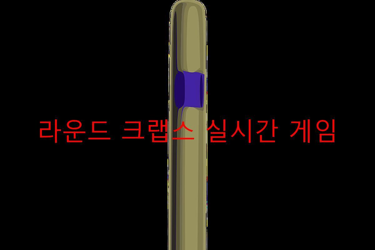 라운드 크랩스 실시간 게임