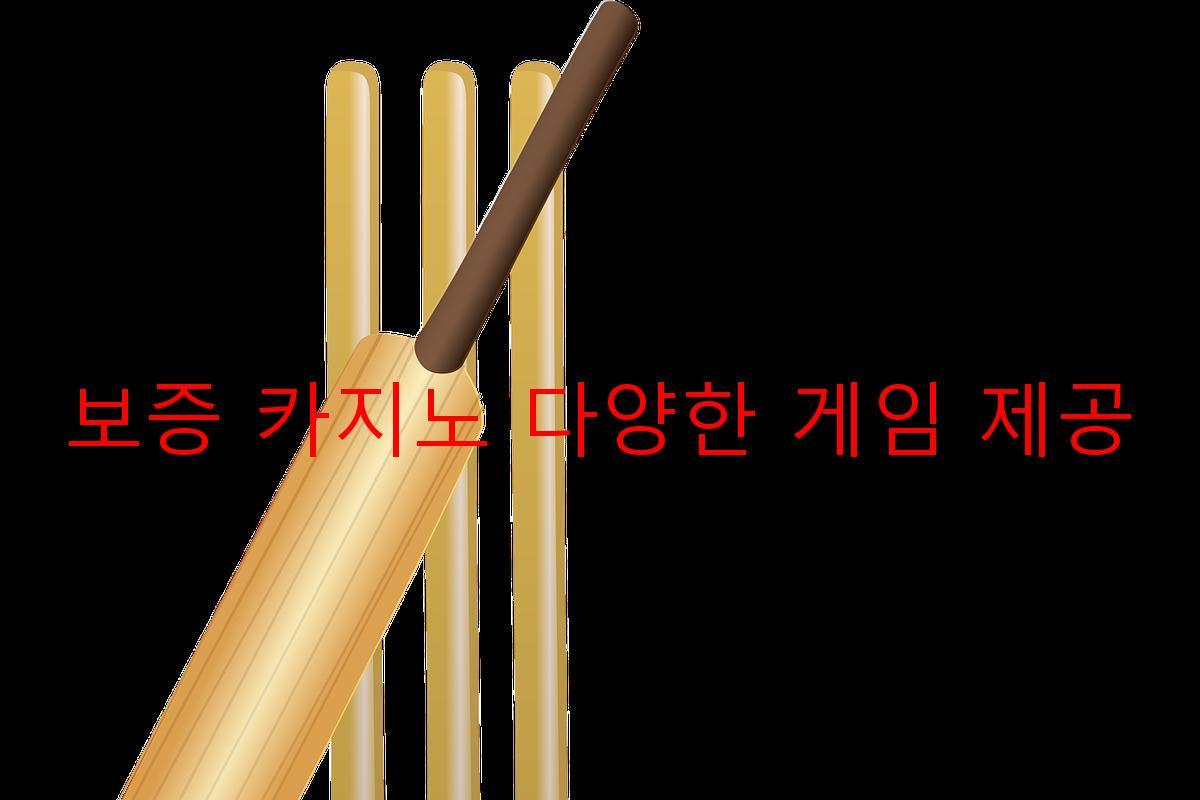 보증 카지노 다양한 게임 제공