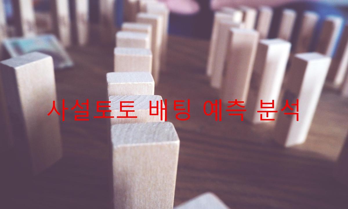 사설토토 배팅 예측 분석