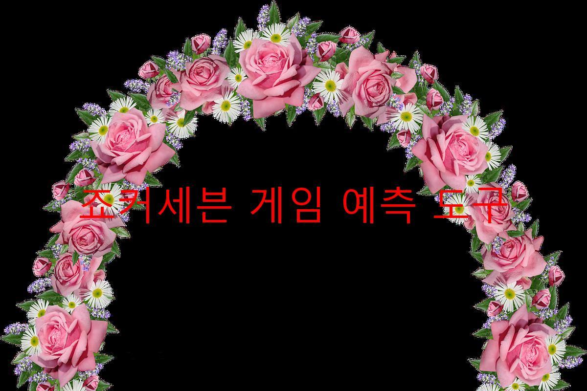 죠커세븐 게임 예측 도구