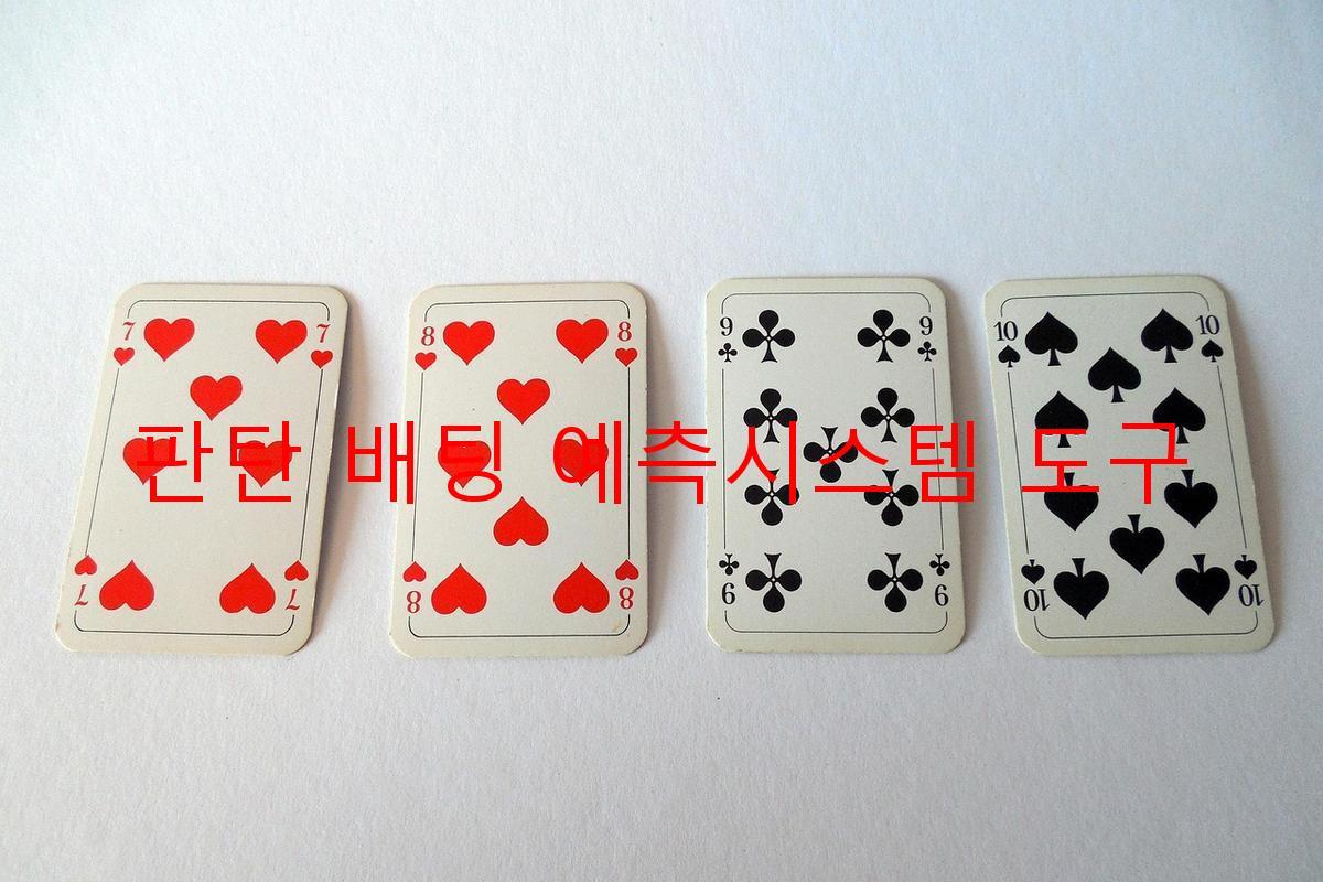 판탄 배팅 예측시스템 도구