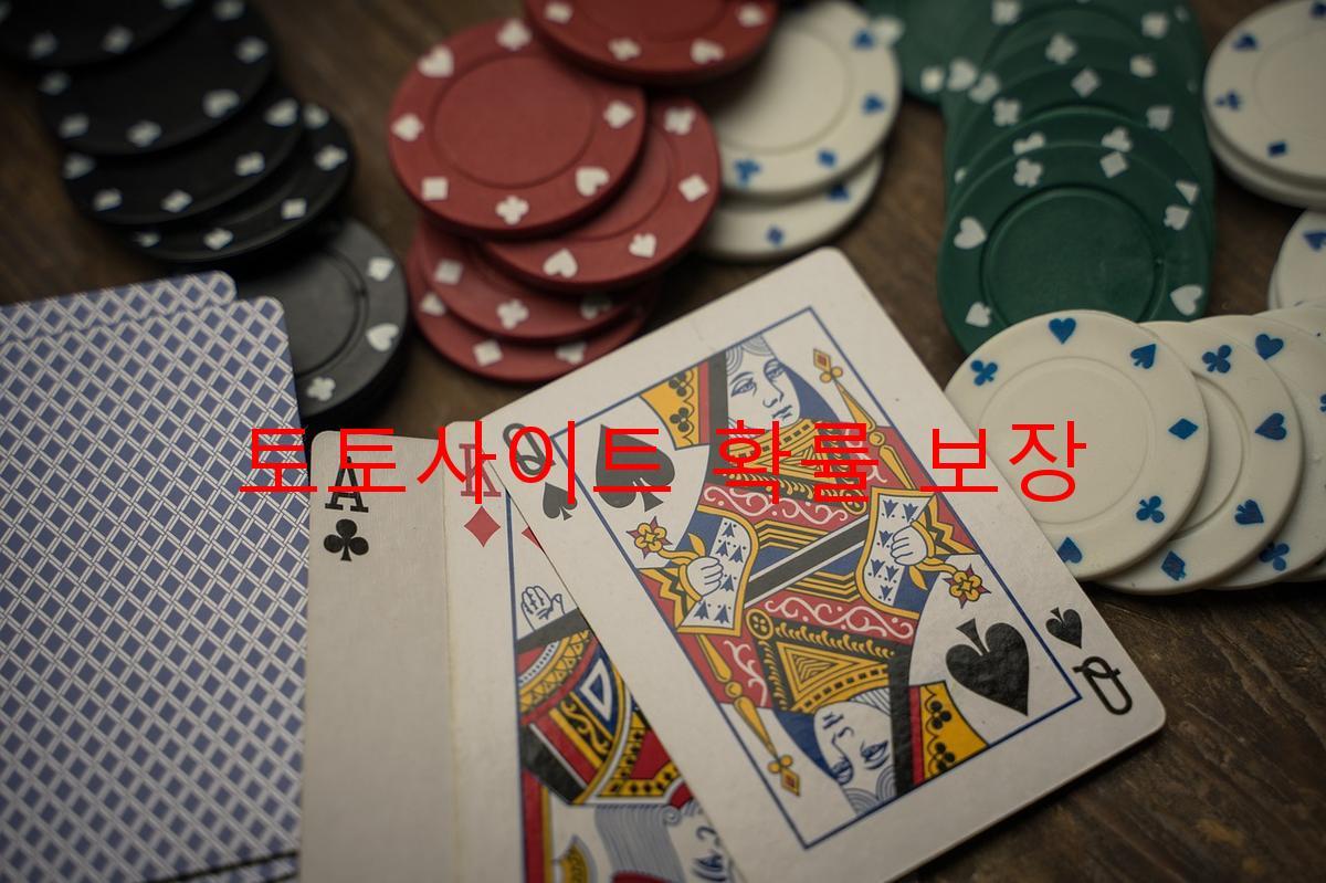 토토사이트 확률 보장